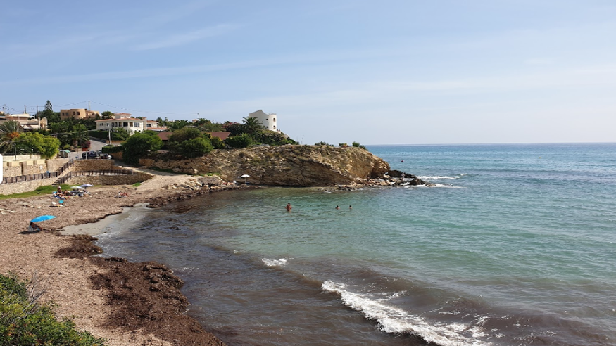 Parcelle El campello