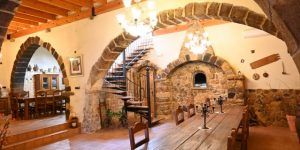 WhatsApp Image 2026-03-13 at 17.52.10 (4)