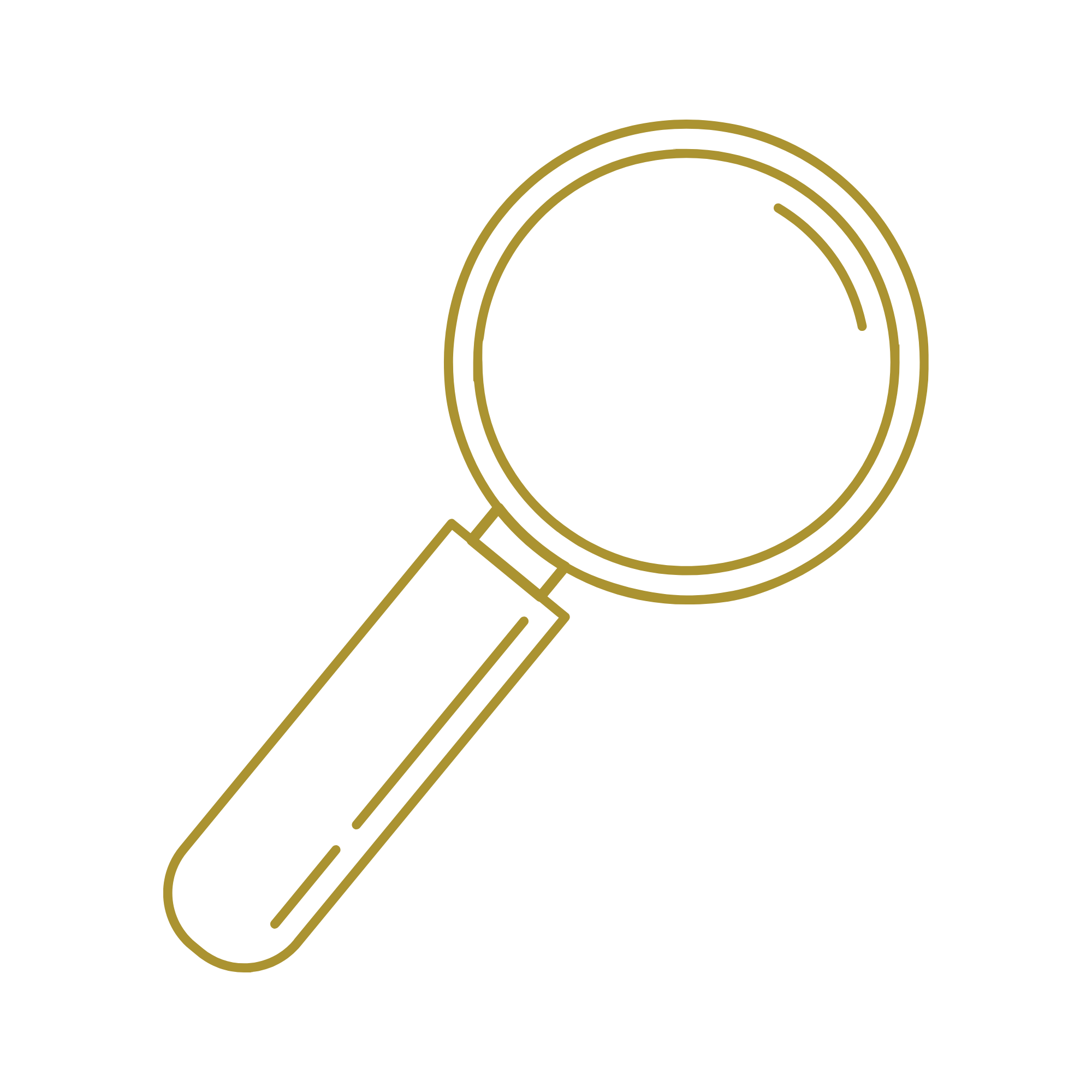 Bicefalia consulting dorado + negro (3)